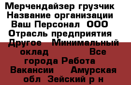 Мерчендайзер-грузчик › Название организации ­ Ваш Персонал, ООО › Отрасль предприятия ­ Другое › Минимальный оклад ­ 40 000 - Все города Работа » Вакансии   . Амурская обл.,Зейский р-н